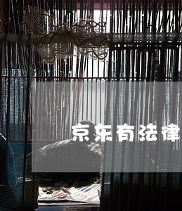 京东有法律咨询服务吗 京东有法律咨询服务吗