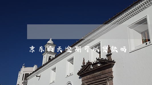 京东白天逾期可以贷款吗 京东白天逾期可以贷款吗