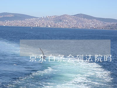 京东白条会到法院吗 京东白条会到法院吗