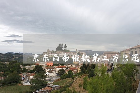 京东白条催款第三方只还本金 京东白条催款第三方只还本金