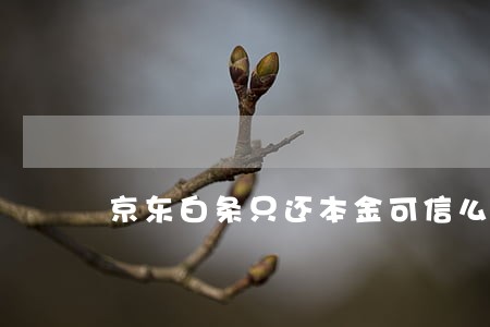 京东白条只还本金可信么 京东白条只还本金可信么