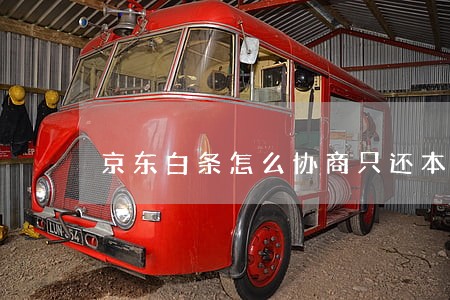 京东白条怎么协商只还本金 京东白条怎么协商只还本金