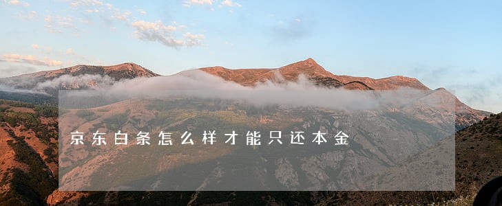 京东白条怎么样才能只还本金 京东白条怎么样才能只还本金