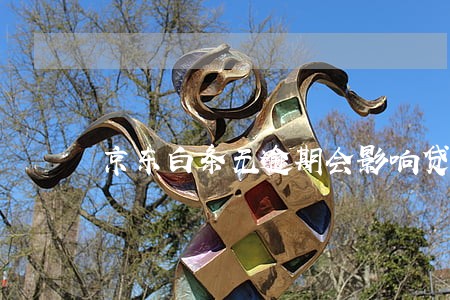 京东白条无逾期会影响贷款吗