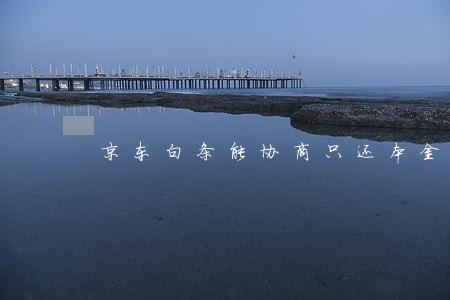 京东白条能协商只还本金吗 京东白条能协商只还本金吗