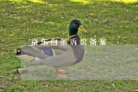 京东白条诉讼备案 京东白条诉讼备案