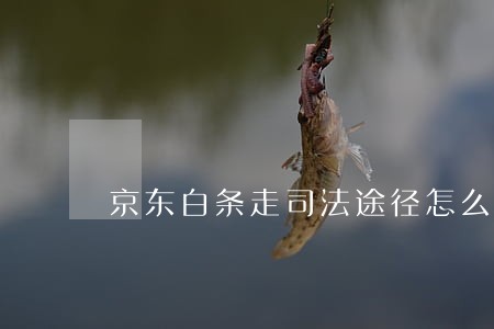 京东白条走司法途径怎么办 京东白条走司法途径怎么办