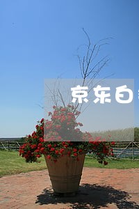 京东白条违约了可以只还本金吗