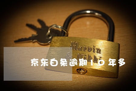 京东白条逾期10年多 京东白条逾期10年多