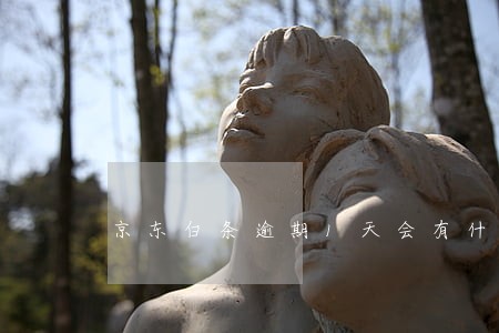 京东白条逾期1天会有什么后果 京东白条逾期1天会有什么后果