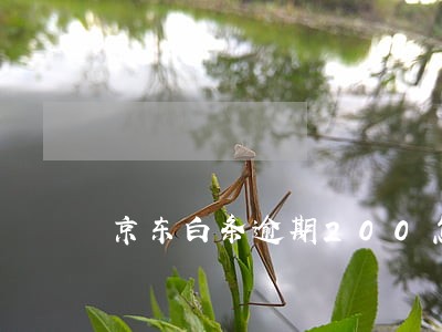 京东白条逾期200怎么办 京东白条逾期200怎么办