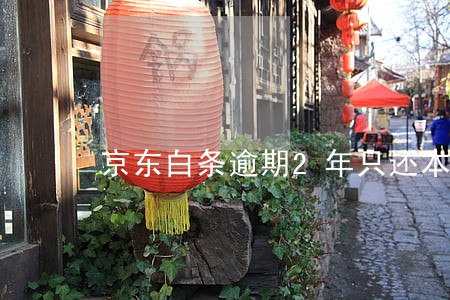 京东白条逾期2年只还本金 京东白条逾期2年只还本金