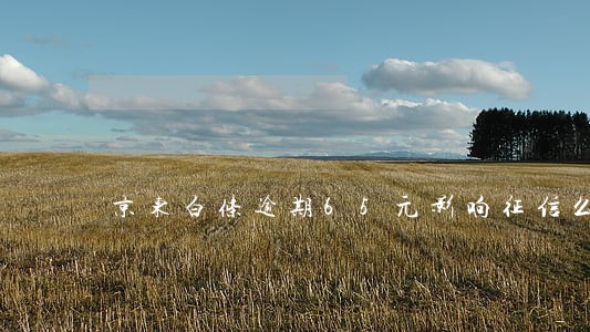 京东白条逾期65元影响征信么 京东白条逾期65元影响征信么