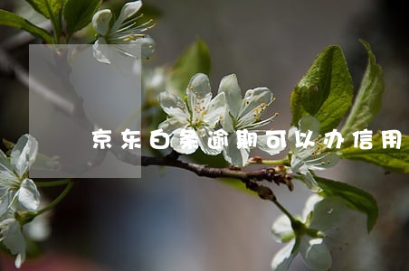 京东白条逾期可以办信用卡吗 京东白条逾期可以办信用卡吗