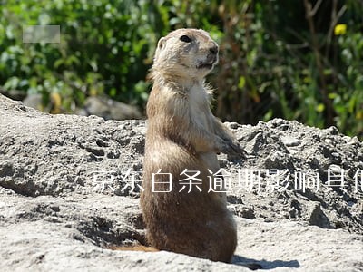 京东白条逾期影响其他网贷吗 京东白条逾期影响其他网贷吗