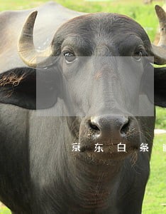 京东白条逾期扣信用卡吗 京东白条逾期扣信用卡吗