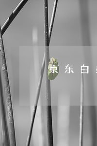 京东白条逾期贷款怎么办 京东白条逾期贷款怎么办