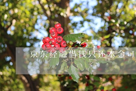 京东经融借钱只还本金可以吗 京东经融借钱只还本金可以吗