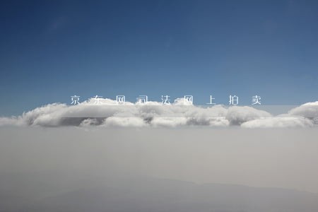 京东网司法网上拍卖 京东网司法网上拍卖