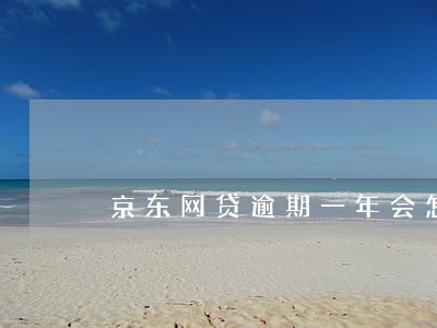 京东网贷逾期一年会怎么样 京东网贷逾期一年会怎么样