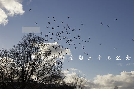京东网贷逾期三年怎么处理 京东网贷逾期三年怎么处理