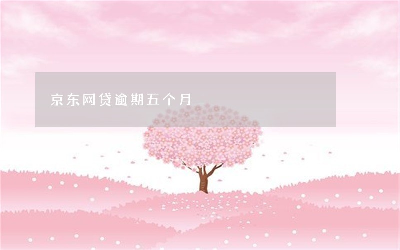 京东网贷逾期五个月 京东网贷逾期五个月