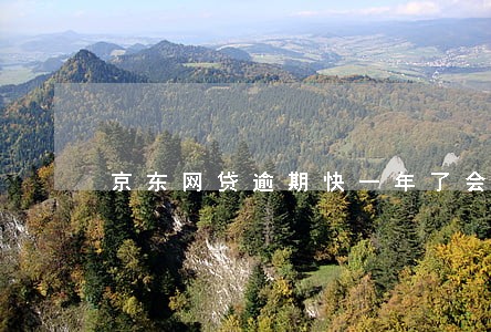 京东网贷逾期快一年了会被诉讼吗
