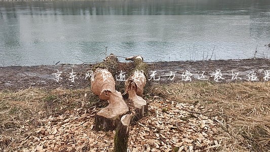京东网贷逾期无力偿还最坏结果 京东网贷逾期无力偿还最坏结果