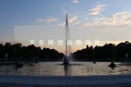 京东网贷逾期消除 京东网贷逾期消除