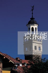 京东能只还本金不还利息么 京东能只还本金不还利息么