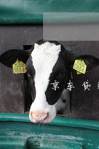 京东贷款如果逾期 京东贷款如果逾期