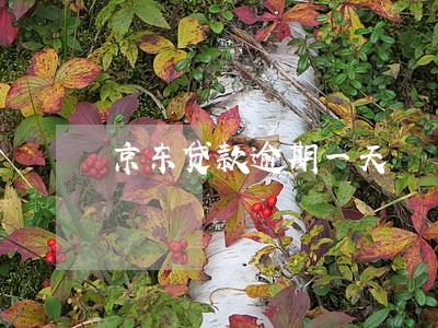 京东贷款逾期一天 京东贷款逾期一天