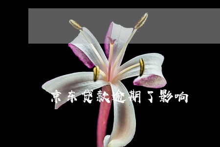 京东贷款逾期了影响 京东贷款逾期了影响