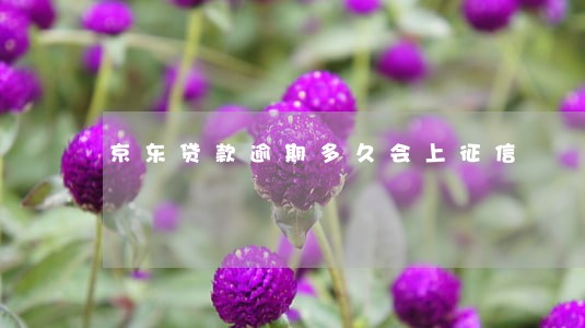 京东贷款逾期多久会上征信 京东贷款逾期多久会上征信