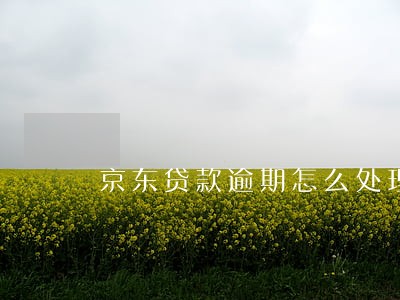 京东贷款逾期怎么处理 京东贷款逾期怎么处理