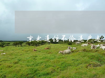 京东通信不给过户违法吗 京东通信不给过户违法吗