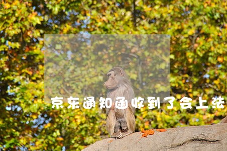 京东通知函收到了会上法院吗