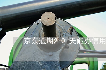京东逾期20天能办信用卡吗 京东逾期20天能办信用卡吗