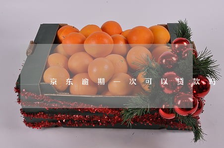 京东逾期一次可以贷款吗 京东逾期一次可以贷款吗