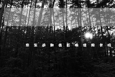 京东逾期会影响信用卡吗 京东逾期会影响信用卡吗