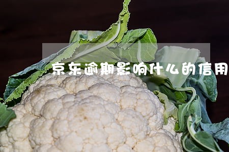 京东逾期影响什么的信用卡吗 京东逾期影响什么的信用卡吗