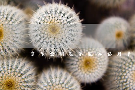 京东逾期能不能办信用卡 京东逾期能不能办信用卡