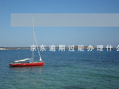 京东逾期过能办理什么网贷 京东逾期过能办理什么网贷