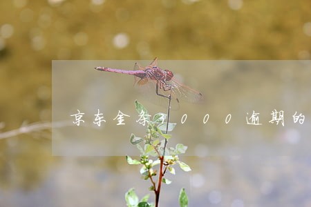 京东金条3000逾期的后果 京东金条3000逾期的后果