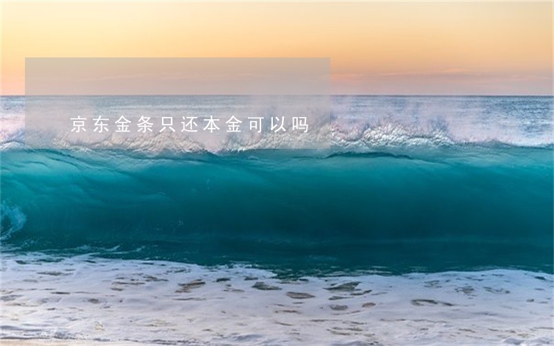 京东金条只还本金可以吗 京东金条只还本金可以吗
