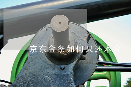 京东金条如何只还本金 京东金条如何只还本金