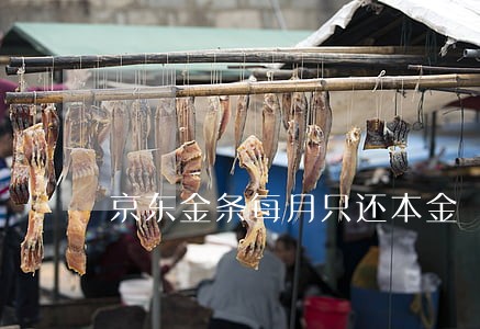 京东金条每月只还本金 京东金条每月只还本金