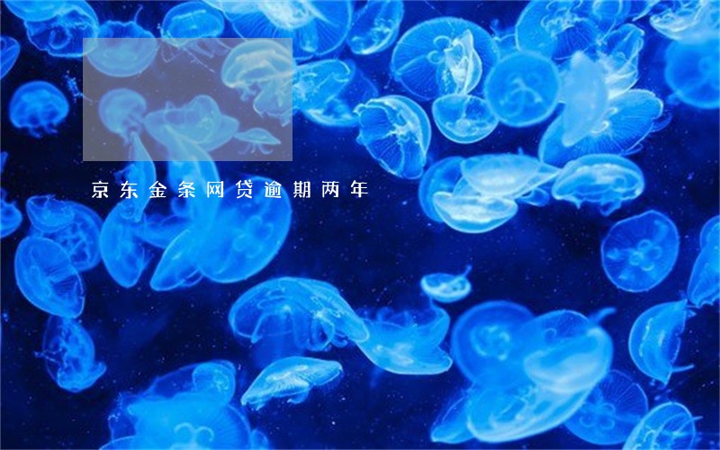 京东金条网贷逾期两年 京东金条网贷逾期两年