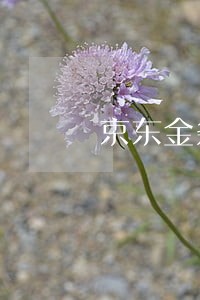 京东金条逾期了能申请信用卡吗 京东金条逾期了能申请信用卡吗