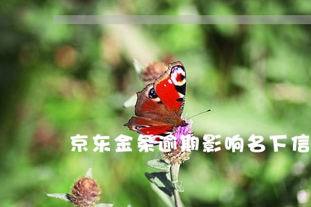 京东金条逾期影响名下信用卡吗 京东金条逾期影响名下信用卡吗
